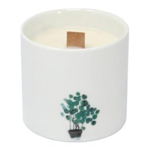 BOTC-05: LARGE BOTANICAL CANDLE - WILD JASMINE