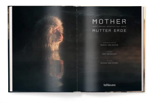 MOTHER - A TRIBUTE TO MOTHER EARTH - Image 2