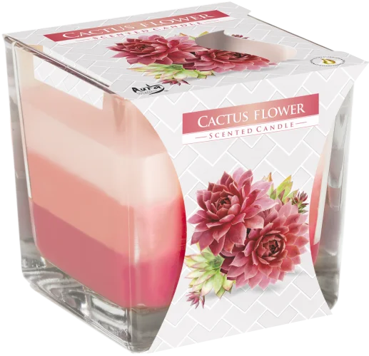 RJC-03: RAINBOW JAR CANDLE - CACTUS FLOWER
