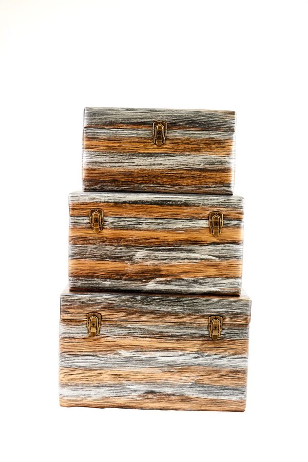 METALLIC STRIPED TRUNK SMALL