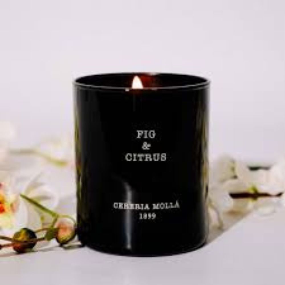 5547: FIG & CITRUS P. C. 230G