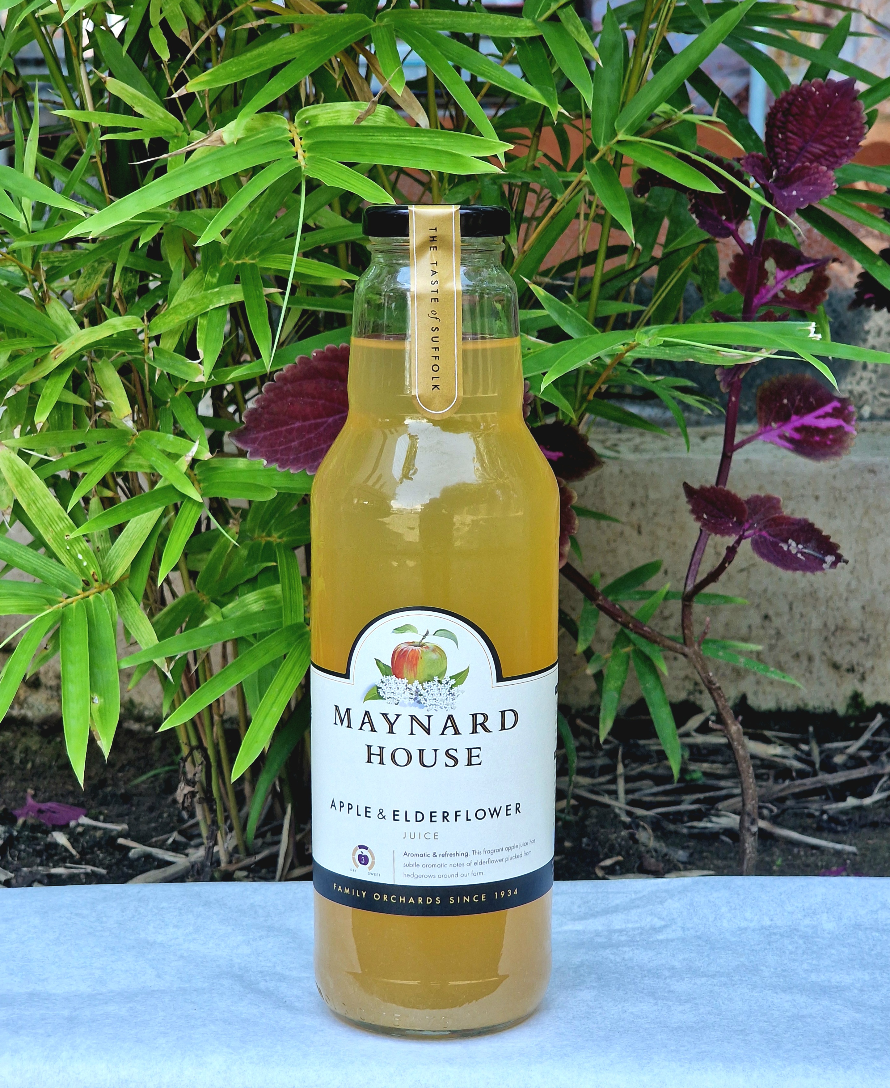 APPLE & ELDERFLOWER 750ML